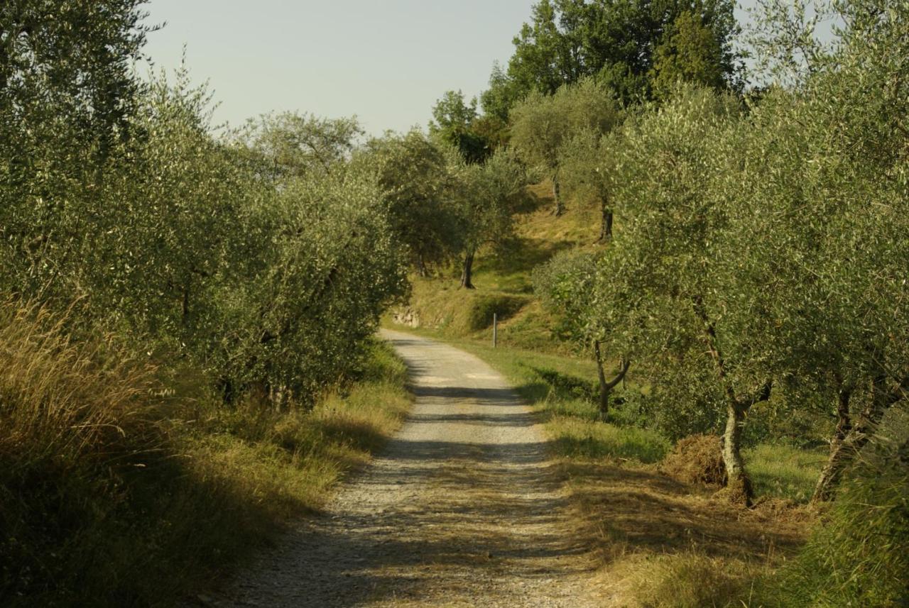 Aramo Verde المظهر الخارجي الصورة